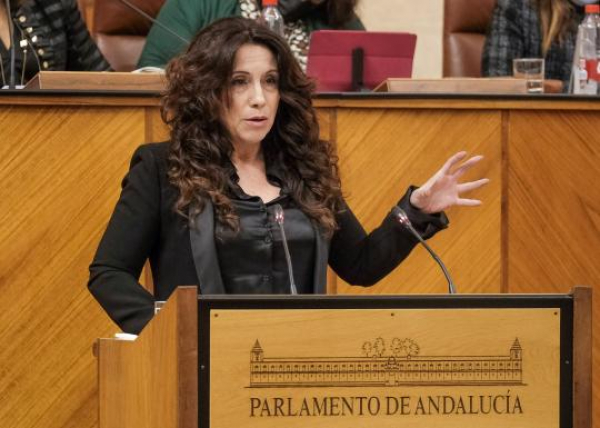 El Parlamento convalida el Decreto-ley que mejora la financiación de los centros de atención a personas en situación de dependencia