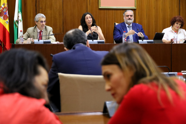 Loles López asegura que la prórroga de los PGE supone 200M€ menos para el sistema de dependencia andaluz