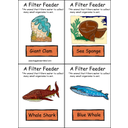 Show Filter feeders Image
