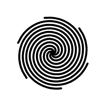 espiral 6