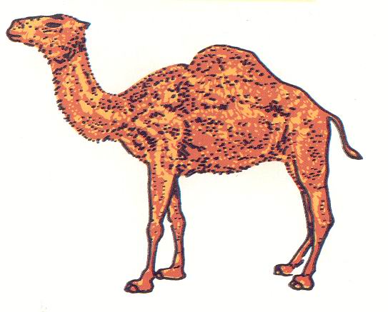 Camello de la marca de tabaco Camel