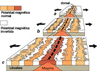 El origen de bandeado magntico en los fondos ocenicos est en la combinacin de la expansin del fondo ocenico y las inversiones del campo magntico terrestre (Cortesa del USGS)