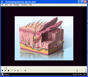 enlace_video_piel.gif