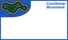 Curvilinear trajectories