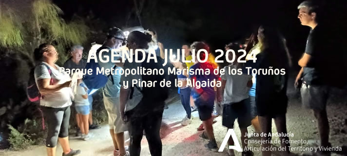 AGENDA JULIO 2024<P>PROGRAMACIÓN NOCHES DE VERANO