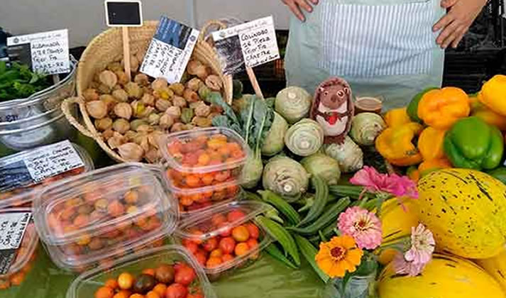 ECOMERCADO RAC DE LOS TORUÑOS