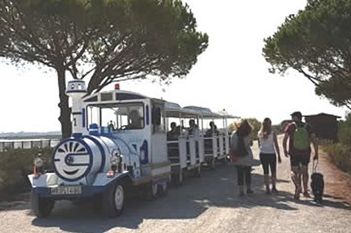 TREN A LA PLAYA DE LEVANTE