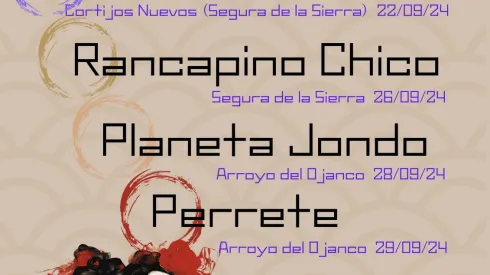 cartel festival flamenco