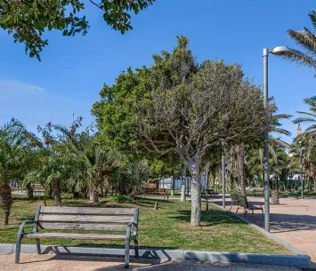 Arboleda del Parque Celestino Mutis en Cádiz