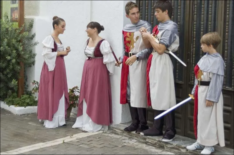 fiestas_en_honor_a_san_roque_y_la_purisima_concepcionciaph.jpg