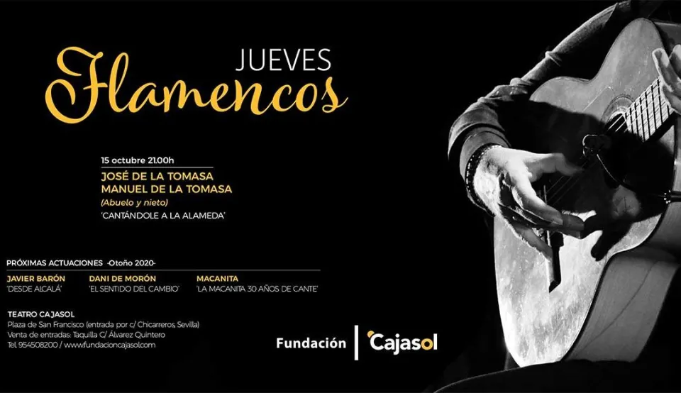 cartel-jueves-flamencos-2020-fundacion-cajasol-web-1080x623.jpg