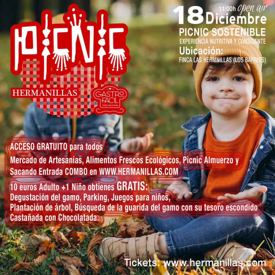 cartel-picnic-18-diciembre.jpg