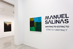 Vista de sala de la exposicin 'Manuel Salinas. Abstracto estricto'. Foto: Pepe Morn