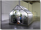 Peter Coffin. Sin título (Greenhouse), 2002