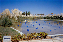 MAURA SHEEHAN.
Lagunas, 2000. Instalacin. Fragmentos de mrmol pintados. Medidas variables. Fotografa de Guillermo Mendo