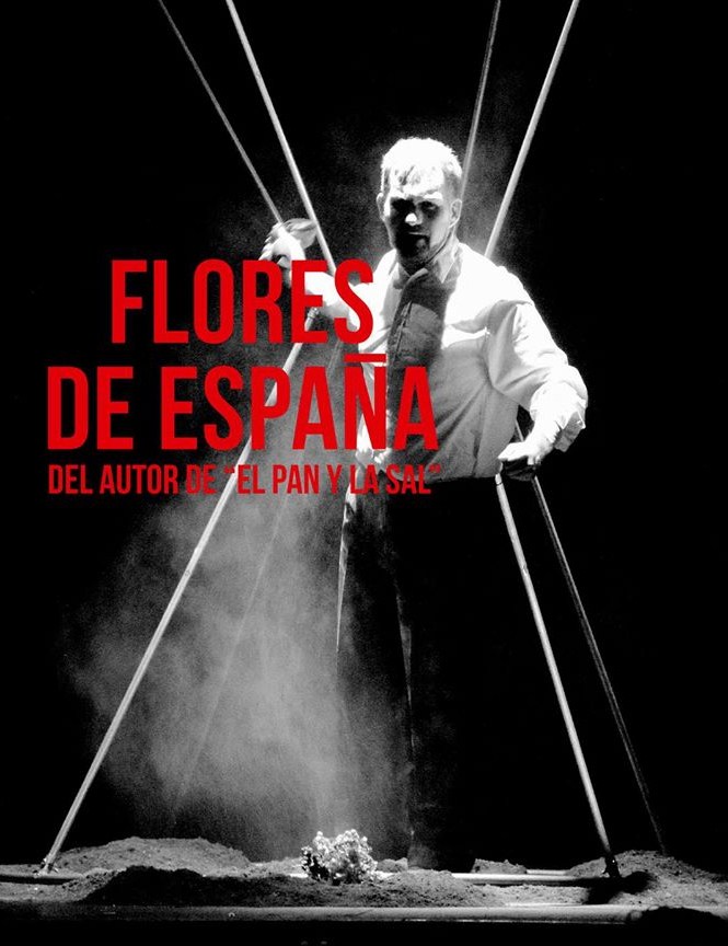 Imagen del espectáculo -  Flores de España