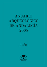 AAA_2005_308_herranzsanchez_callesantodomingo.pdf.jpg