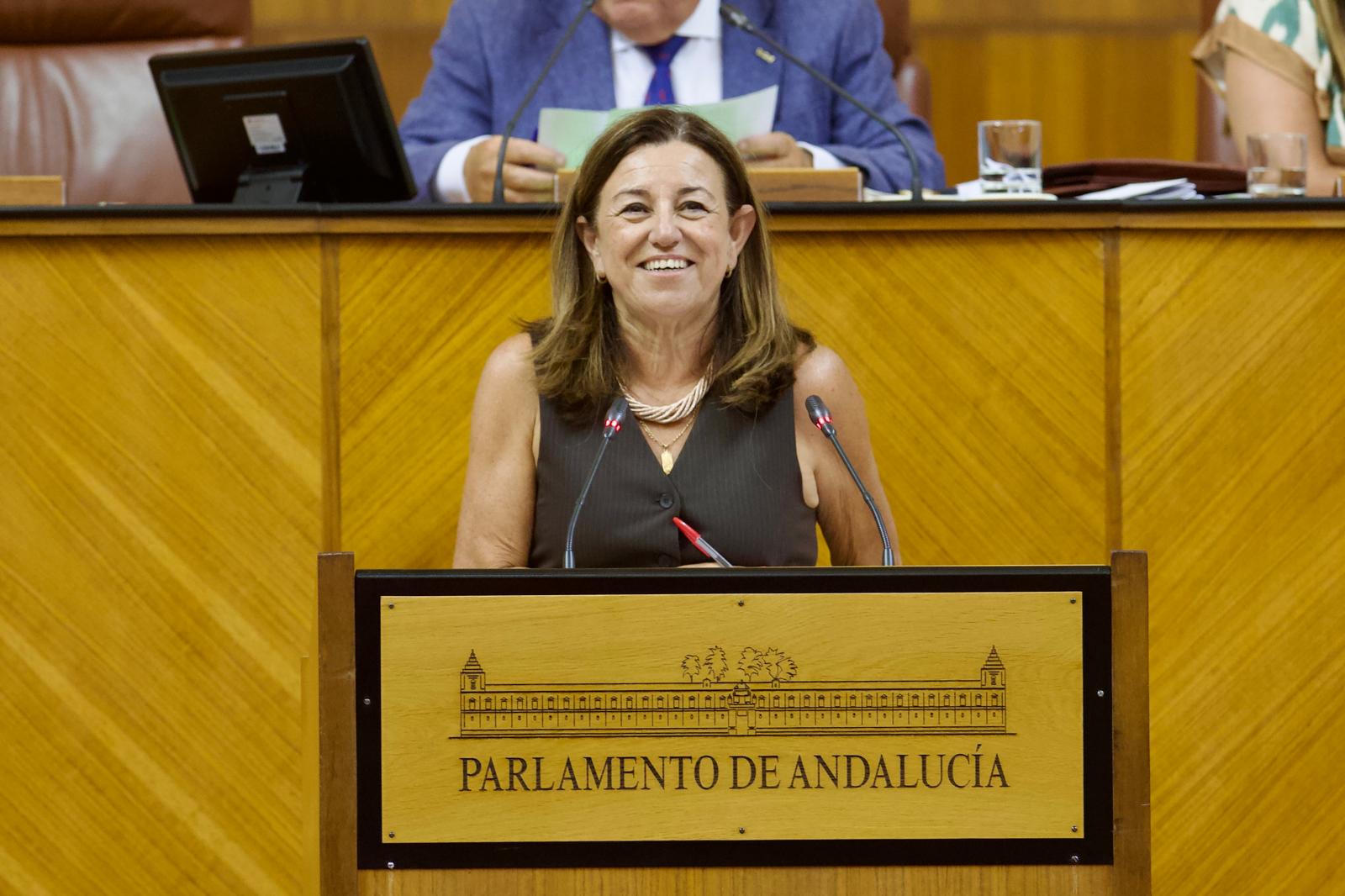 Castillo durante su intervención en el pleno del Parlamento.