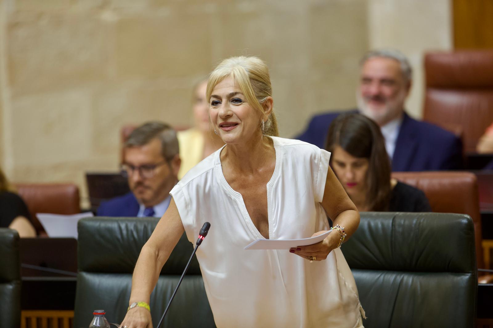 La consejera durante su intervención en el Parlamento.