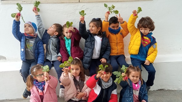 huerto escolar ceip las palmeras