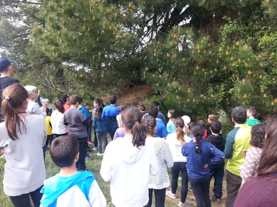 imagen X ENCUENTRO ALUMNADO DE LA RED ANDALUZA DE ECOESCUELAS 