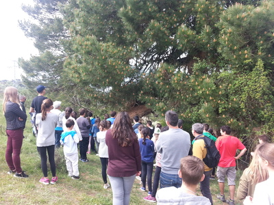 imagen X ENCUENTRO ALUMNADO DE LA RED ANDALUZA DE ECOESCUELAS 