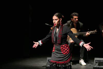 imagen VIII Premios Flamenco en el aula (1)