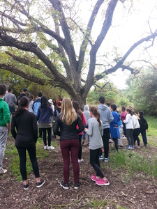 imagen X ENCUENTRO ALUMNADO DE LA RED ANDALUZA DE ECOESCUELAS