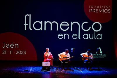 imagen IX Premios Flamenco en el Aula (3)