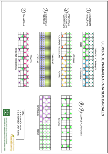 Diagramas de siembras de primavera para seis bancales