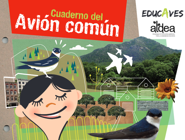 Cuaderno del Avión común 