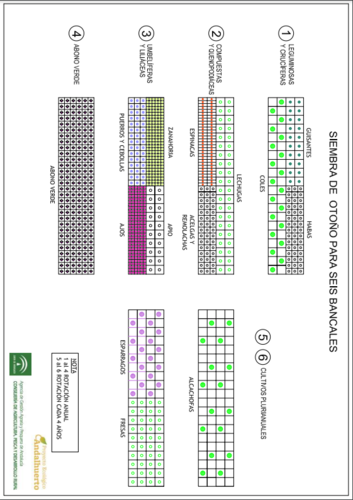 Diagramas de siembras de otoño para seis bancales