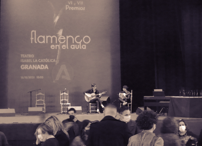 imagen VII Premios Flamenco en el Aula ( VII )