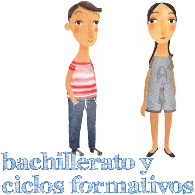 Bachillerato y Ciclos Formativos