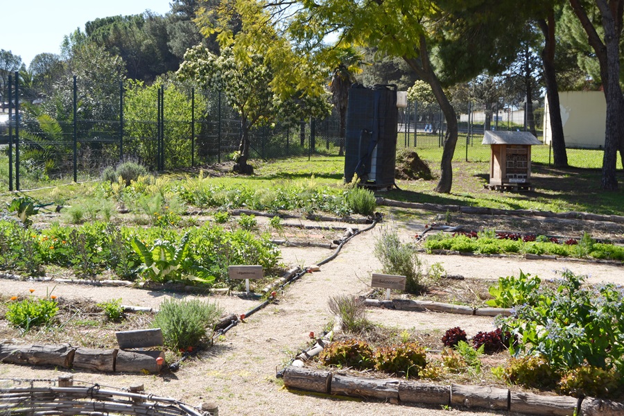 Vista general del huerto
