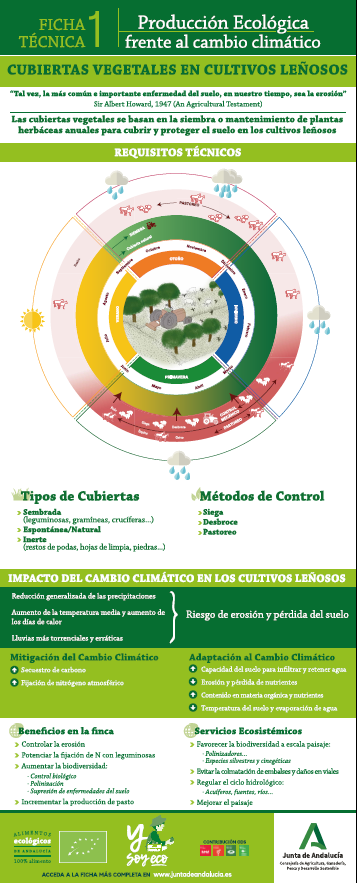 Ficha técnica de cubiertas vegetales en cultivos leñosos