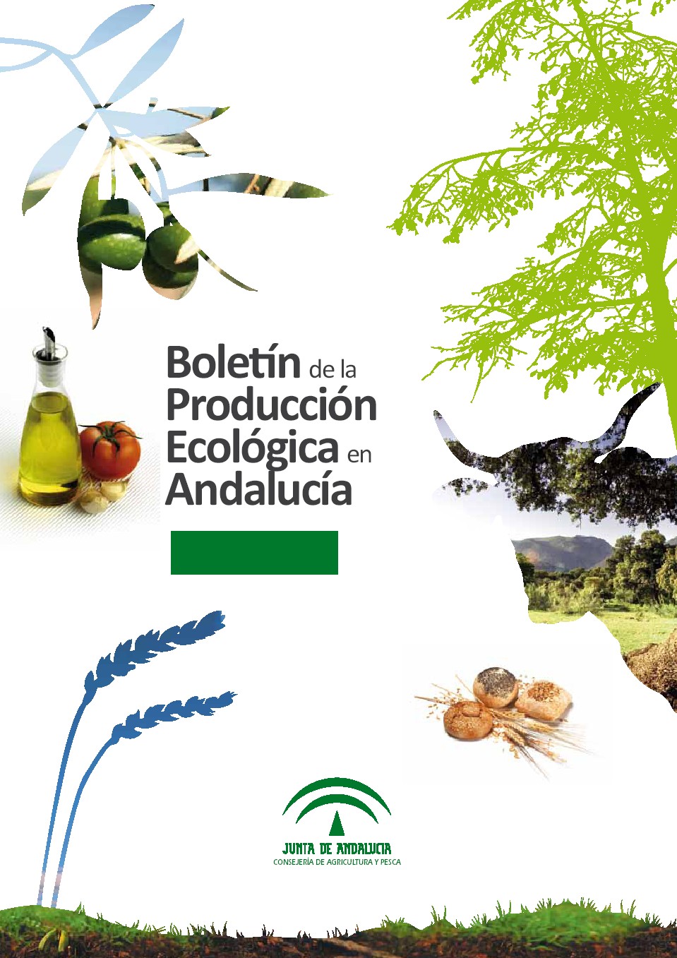 boletin_produccion_eco