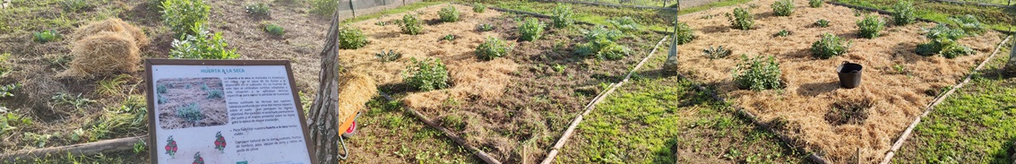 evolución montaje de la huerta de la seca