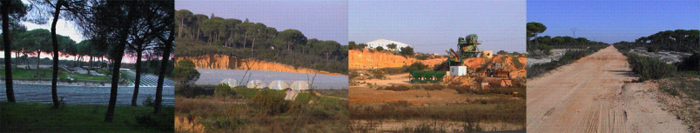 Mosaico fotografías de Doñana