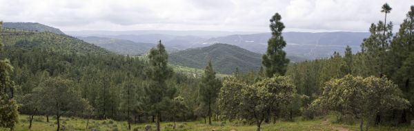 Imagen de Monte Torilejos, Hornachuelos
