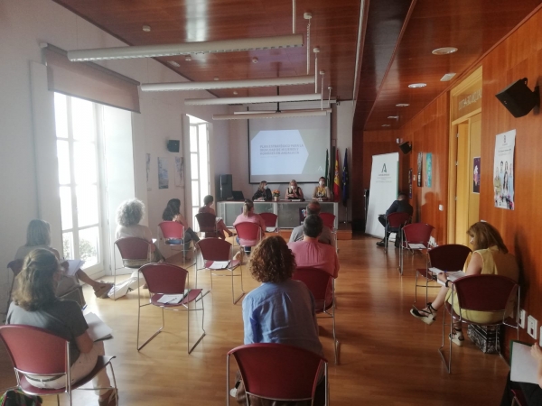 El IAM ultima el Plan estratégico de igualdad de Andalucía y crea un servicio de asesoramiento para administraciones y universidades
