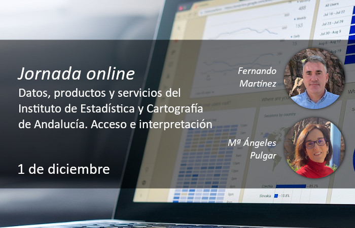 Datos, productos y servicios del Instituto de Estadstica y Cartografa de Andaluca. Acceso e interpretacin