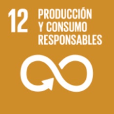 Objective 12. Responsible consumption and production