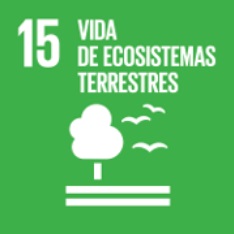 Objetivo 15. Vida de ecosistemas terrestres