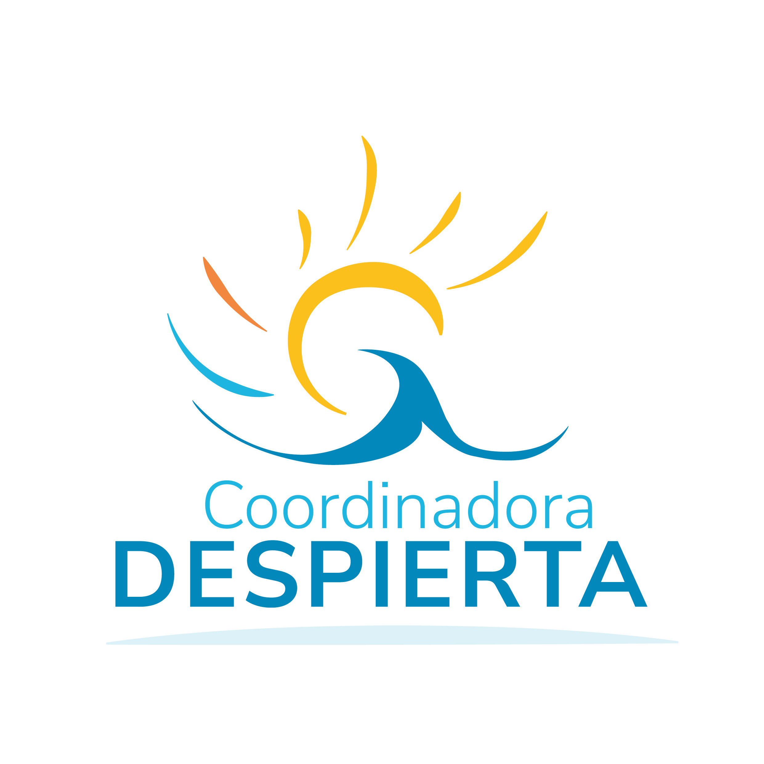COORDINADORA DESPIERTA