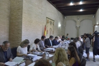 La directora del IAM asiste al Consejo Andaluz del Voluntariado
