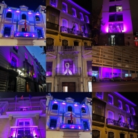 El Palacio de San Telmo, el IAM y sus ocho Centros Provinciales de la Mujer se iluminarán de color violeta con motivo del 25N