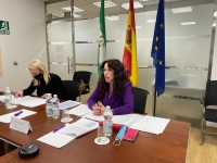 El Pleno del Consejo Andaluz de Participación de las Mujeres aprueba su plan de trabajo