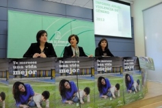 Consejera presenta informe anual violencia de género 2013