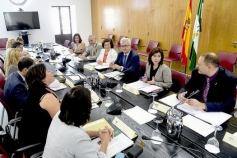Andalucía constituye una Comisión de Seguimiento para reforzar la coordinación institucional ante la violencia de género